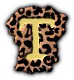 TesaTv